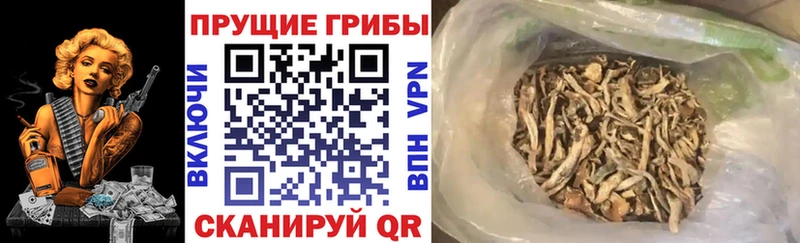 Псилоцибиновые грибы ЛСД  Горячий Ключ 