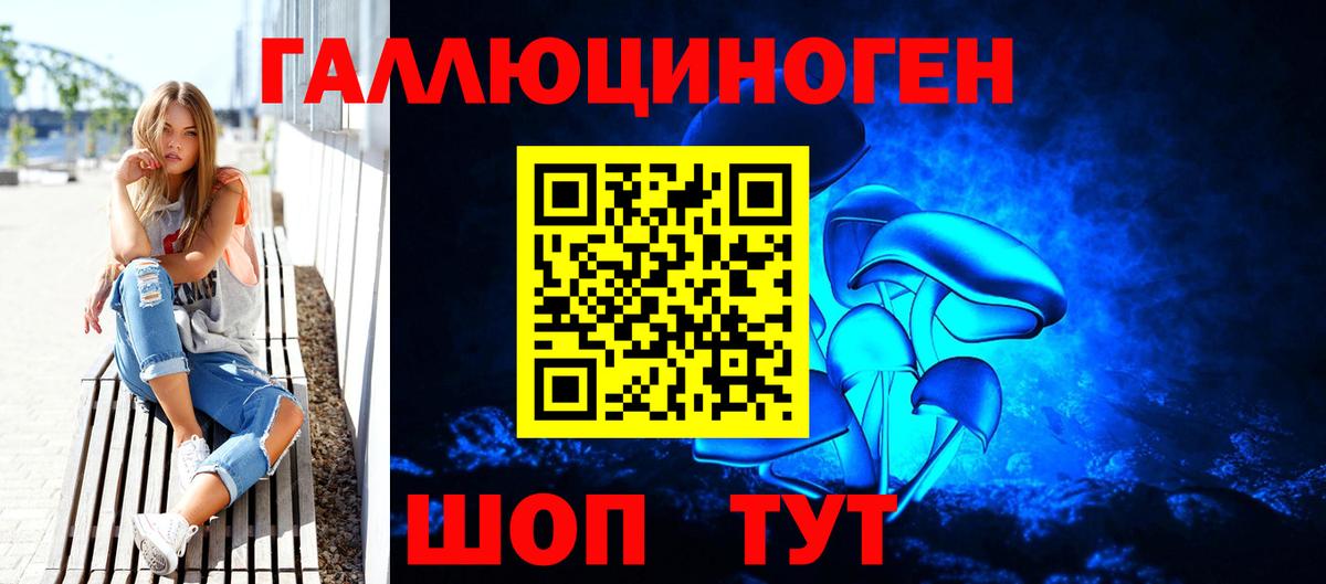 Галлюциногенные грибы Cubensis Горячий Ключ
